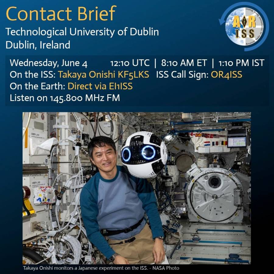 contact_brief.jpg contact_brief.jpg