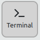 WhatsPac Terminal Button